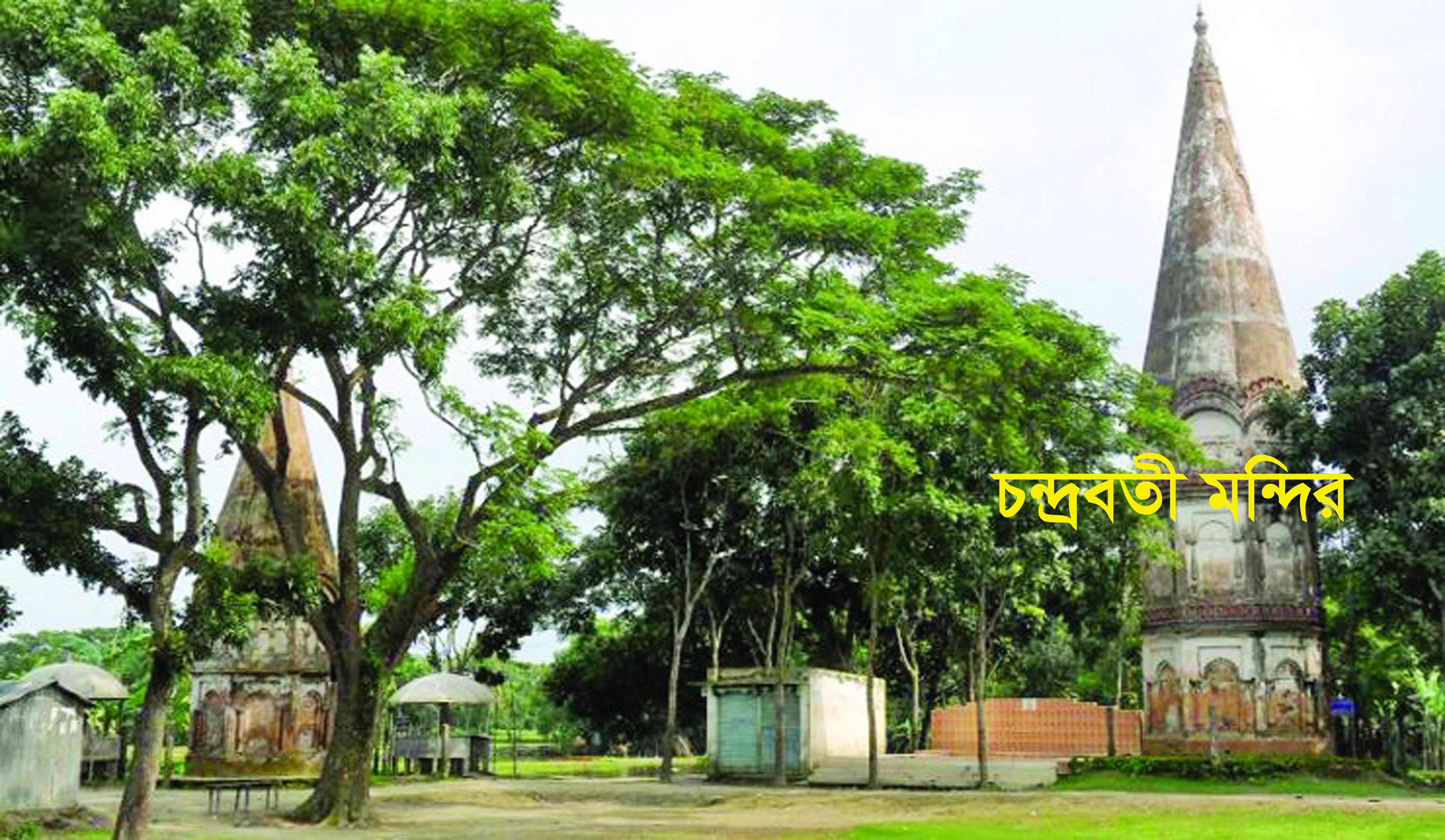 Slide Image